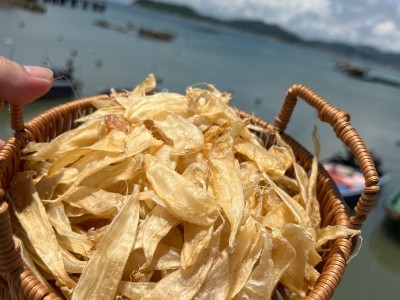 豆仁胶 豆仁公胶豆仁花胶 豆仁鱼胶鱼肚豆仁胶410头左右豆仁公胶图3