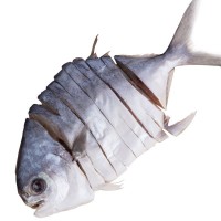 阳江湛江金鲳鱼干淡晒金昌鱼咸鱼黄金仓鱼海产品干货农家自制鱼干