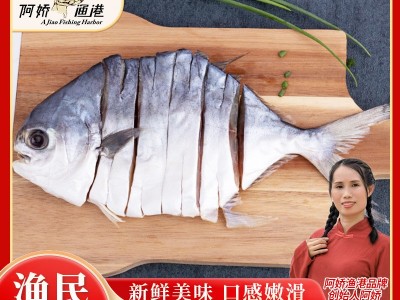 阳江湛江金鲳鱼干淡晒金昌鱼咸鱼黄金仓鱼海产品干货农家自制鱼干图5