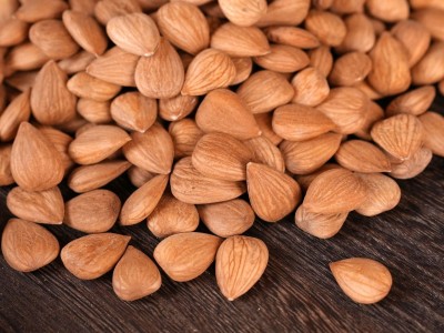 厂家批发供应 带皮大粒甜杏仁 南杏仁 颗粒饱满 产地供应批发图1