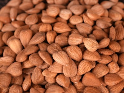 厂家批发供应 带皮大粒甜杏仁 南杏仁 颗粒饱满 产地供应批发图3