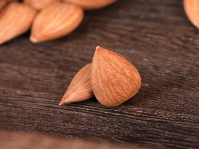 厂家批发供应 带皮大粒甜杏仁 南杏仁 颗粒饱满 产地供应批发图4