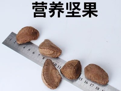 新疆鲍鱼果代发带壳原味生巴西坚果盐焗熟沙漠果办公干果零食图2