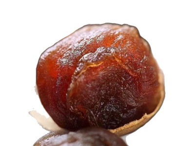 代发莆田桂圆龙眼干新批发正a果图5