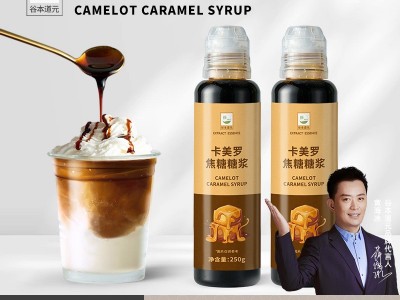卡美罗焦糖糖浆烘焙淋酱商用奶茶玛奇朵蜂蜜调味拿铁咖啡伴侣专用图5