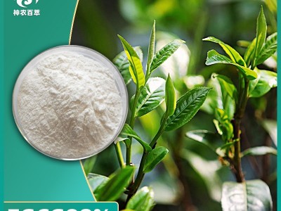 EGCG98%绿茶提取物水溶性茶单宁 食品级儿茶素 茶多酚98% EGCG50%图5