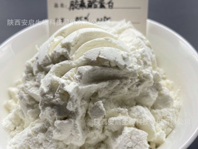 胶束酪蛋白85%牛奶提取物S85浓缩牛奶蛋白MPC安启S8505图4