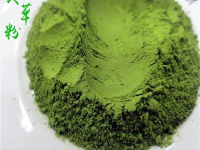 源头生产工厂艾草粉脱水蔬菜果蔬代餐粉固体饮料方便食品1 斤起批图3