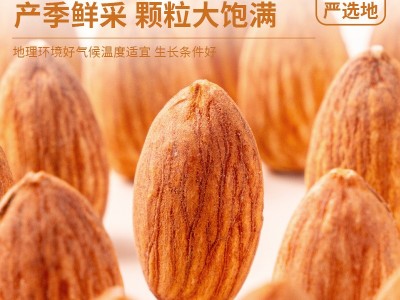 新货巴旦木仁坚果仁罐装500g大颗粒孕妇零食盐焗味巴旦木仁批货图3