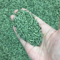 2026年新茶送礼云雾炒青散装绿茶茶叶散批发信阳工艺御信尖毛尖茶