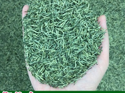 2026年新茶送礼云雾炒青散装绿茶茶叶散批发信阳工艺御信尖毛尖茶图5