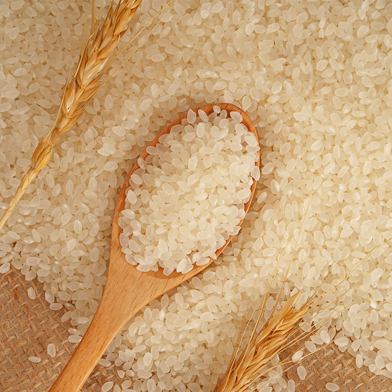 O1CN01CiiWqZ1aSH1GqxPjF_!!3785723328-0-cib