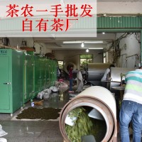 新茶铁观音安溪高山春茶 清香型茶叶散装乌龙茶500g 茶农批发包邮