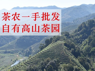 新茶铁观音安溪高山春茶 清香型茶叶散装乌龙茶500g 茶农批发包邮图4