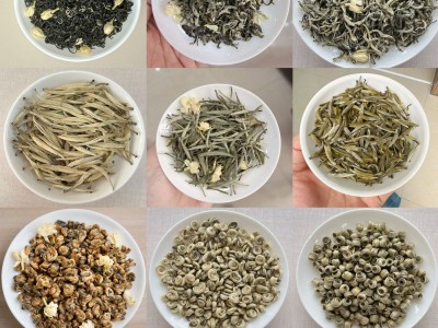 茉莉花茶样品茶样试喝2025浓香型老味花茶新花茶横县厂家散茶批发图2