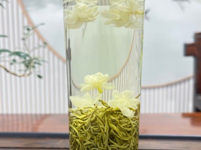 横县厂家直销 茉莉花茶 单芽飘雪 浓香型卷飘 原产地散茶批发代发图5