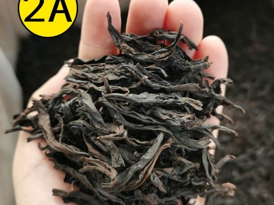 大红袍乌龙茶福建茶叶岩茶肉桂茶浓香型茶叶特级散装奶茶原料批发图4