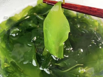 压缩海带苗高泡发率凉拌烫火锅煲汤海带苗免洗无沙海带嫩苗图3