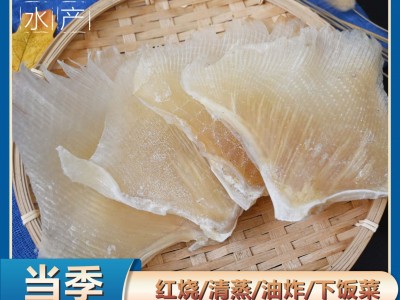 厂家批发天九翅鱼翅海狗翅海鲜煲汤蒲鱼翅天星翅电商零售海鲜干货图4