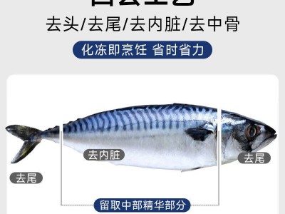 青花鱼片特大鲐鲭鱼日式青占鱼烤鲭鱼片青鱼烧烤食材商用冷冻顺丰图3