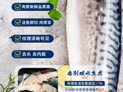 青花鱼片特大鲐鲭鱼日式青占鱼烤鲭鱼片青鱼烧烤食材商用冷冻顺丰图4