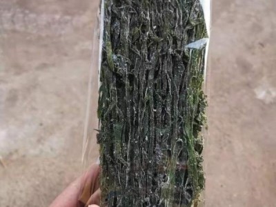海带丝干货 厚干海带丝脱水菜跑江湖无沙免煮火锅食材5斤一箱图2