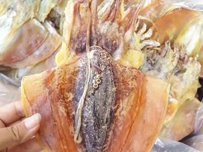 广西北海墨鱼干晒干批发墨鱼干货淡晒产地直销海鲜产品图3