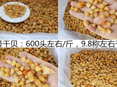 广西北海 干贝瑶柱批发淡干200头350头400头生晒海鲜干货500g煲粥图2