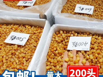 广西北海 干贝瑶柱批发淡干200头350头400头生晒海鲜干货500g煲粥图5