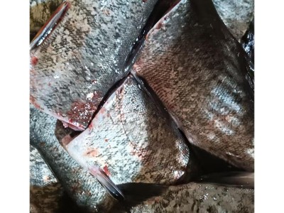 冰鲜鱼花鲢鱼下单即宰快速发货冷链配送肉质鲜美花鲢鱼尾图4