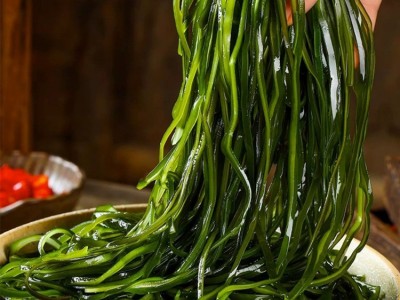 海带丝烘干压缩海带丝网红食品圆饼厚海带丝干货海带嫩商用批发图3