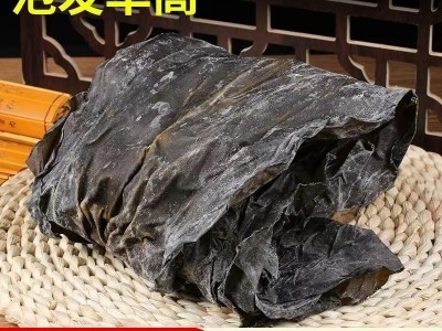特产级海带干特厚海带干建霞浦厚实无沙海带丝炖汤新鲜蔬菜日晒藻图4