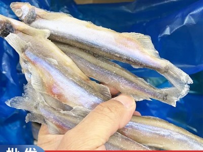 无籽多春鱼冷冻烧烤商用冰鲜特大无冰衣无籽即食海鲜多春鱼图4