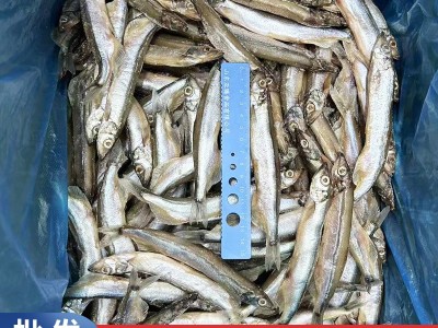 无籽多春鱼冷冻烧烤商用冰鲜特大无冰衣无籽即食海鲜多春鱼图3