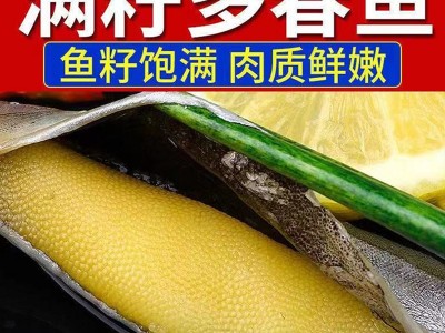 冷冻托盘多春鱼烧烤日料煎炸食材带籽多春鱼整箱满籽母体多春鱼图2