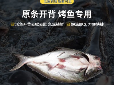 先上鲜开背巴沙鱼新鲜冷冻批发湄公鱼烤鱼半成品一整箱商用凌波鱼图4