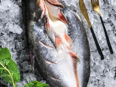 先上鲜开背巴沙鱼新鲜冷冻批发湄公鱼烤鱼半成品一整箱商用凌波鱼图3