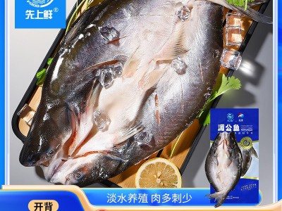 先上鲜开背巴沙鱼新鲜冷冻批发湄公鱼烤鱼半成品一整箱商用凌波鱼图5