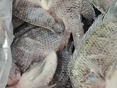 先上鲜开背罗非鱼新鲜冷冻三去非洲鲫鱼鲷鱼片商用整箱烧烤烤鱼图5
