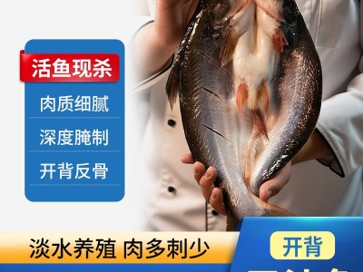 先上鲜开背罗非鱼新鲜冷冻三去非洲鲫鱼鲷鱼片商用整箱烧烤烤鱼图4