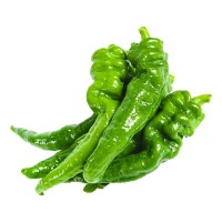 香辣螺丝椒种子高产大果青辣椒种籽春四季阳台盆栽蔬菜种孑苗大全