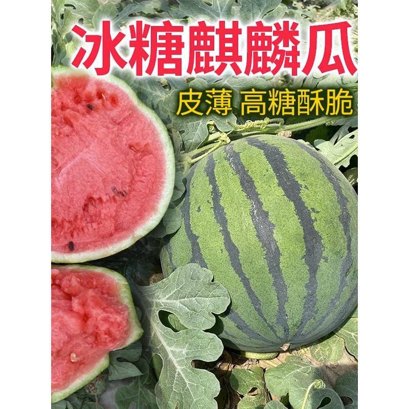 O1CN01ZvDhk127TXXSQ59BO_!!2218867967798-0-cib