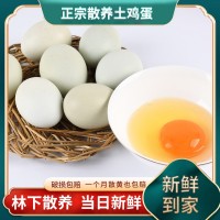枞乡情 农家散养乌鸡蛋 新鲜土鸡蛋柴鸡蛋 小枞礼盒装鸡蛋