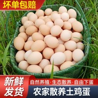 五谷虫草走地鸡蛋柴鸡蛋农家林间散养新鲜土鸡蛋草鸡蛋月子蛋顺丰