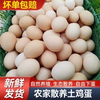 老母鸡蛋皖南土鸡蛋五谷喂养走地散养谷物蛋现捡速发顺丰虫草蛋