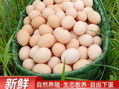 老母鸡蛋皖南土鸡蛋五谷喂养走地散养谷物蛋现捡速发顺丰虫草蛋图4
