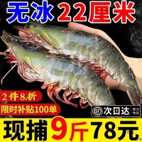 包邮冷冻大速冻青岛基围虾虾鲜活虾海虾盐冻青虾0海鲜水产包装