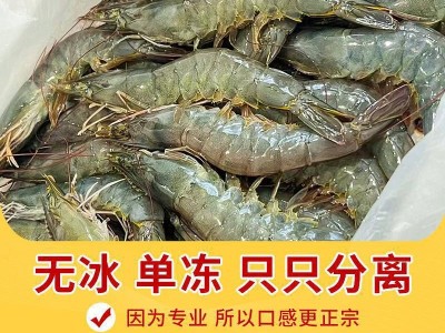 包邮冷冻大速冻青岛基围虾虾鲜活虾海虾盐冻青虾0海鲜水产包装图4
