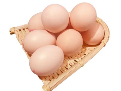可生食富硒无抗鸡蛋无激素无农残新鲜柴现捡鸡蛋180枚鸡蛋批发图5