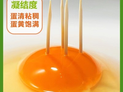 可生食富硒无抗鸡蛋无激素无农残新鲜柴现捡鸡蛋180枚鸡蛋批发图4